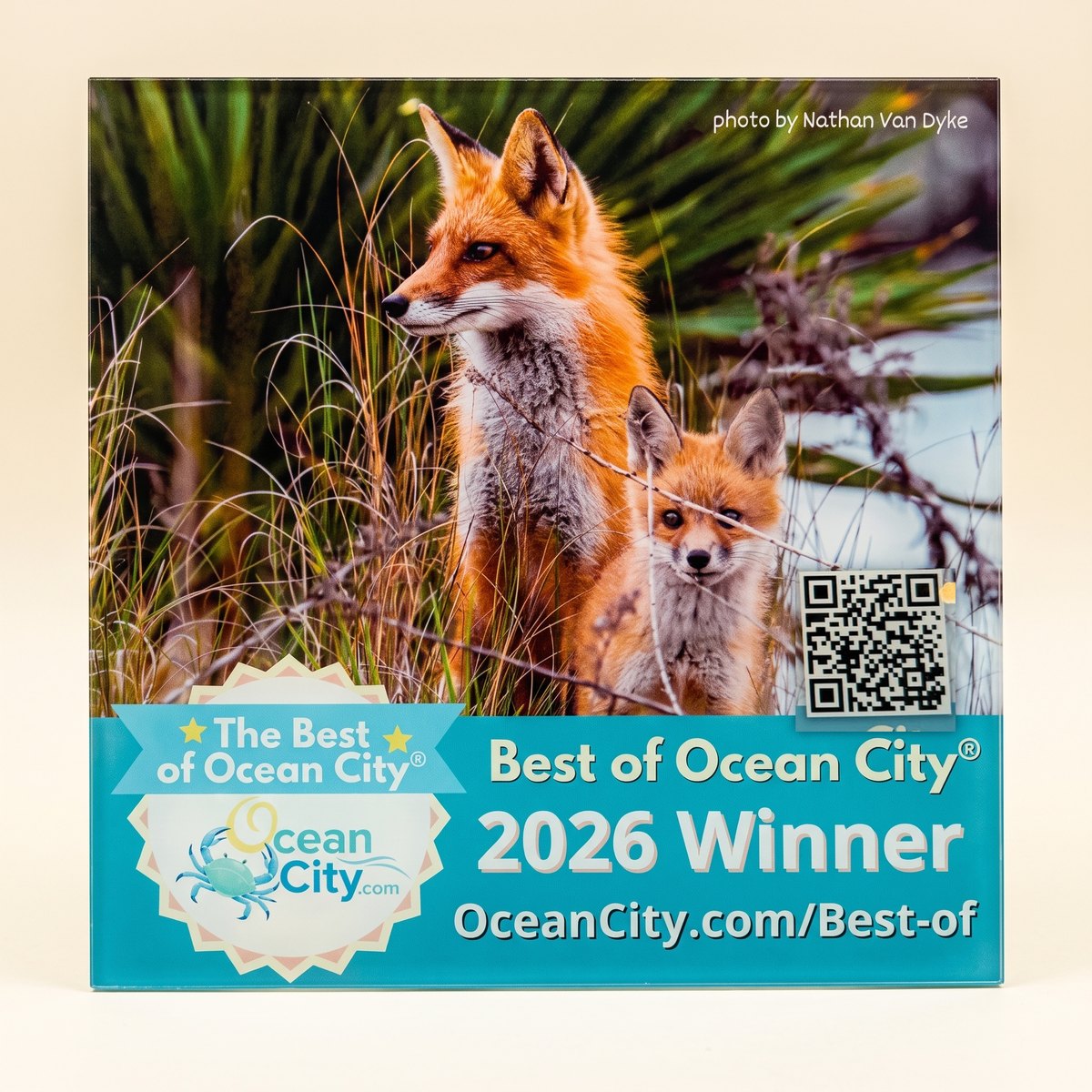Best of Ocean City 2026 Winner award plaque from OceanCity.com — bai-tee, Best New Restaurant, Editorial Pick